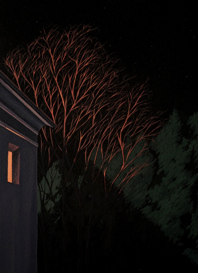 A Forest of One's Own 15-1