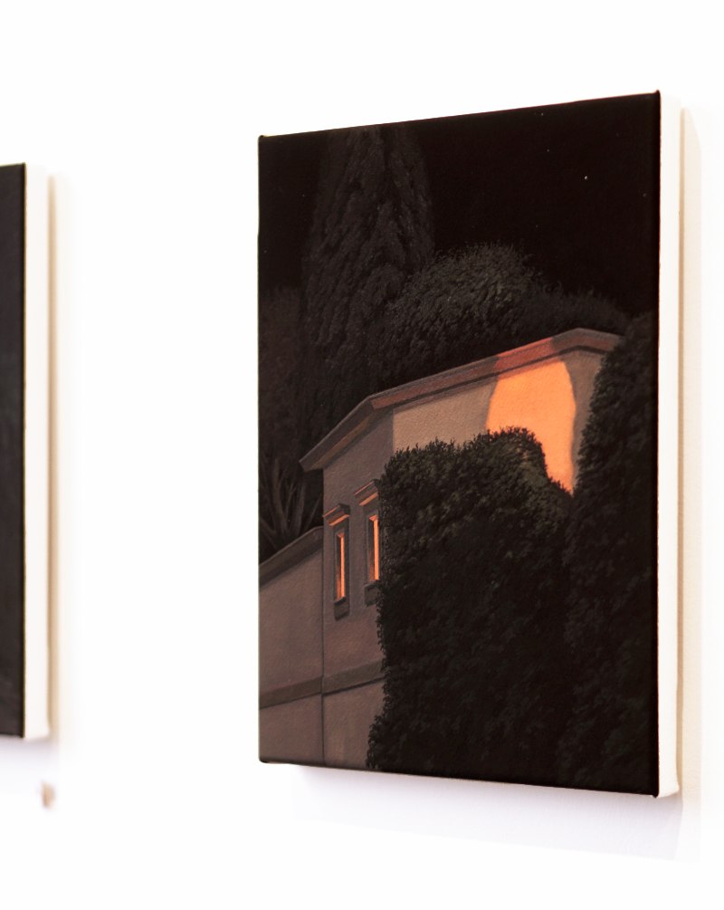 A Forest of One's Own 17-3