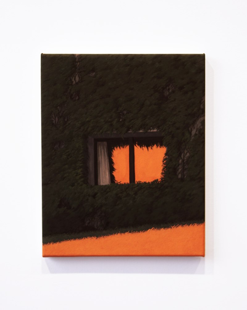 A Forest of One's Own XVIII