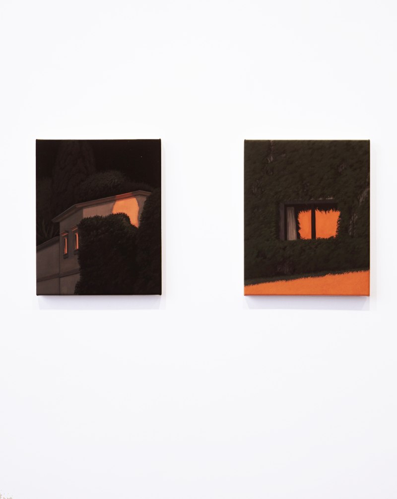 A Forest of One's Own 18-3